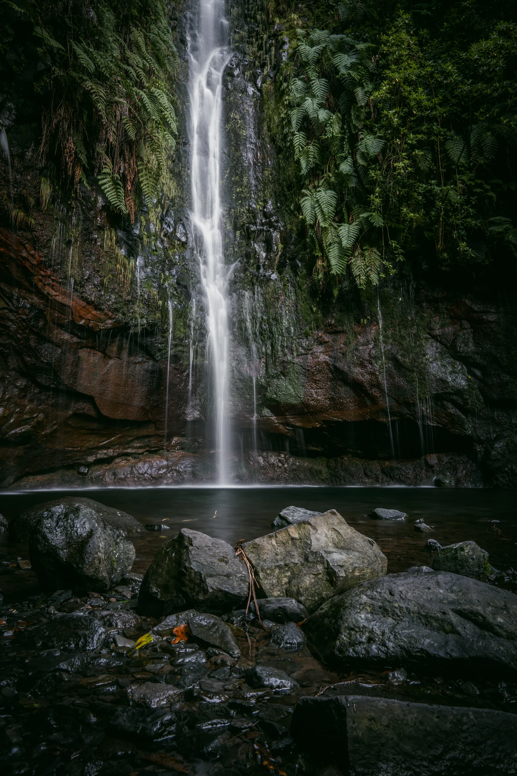 Die Levadas in Madeira Portugal