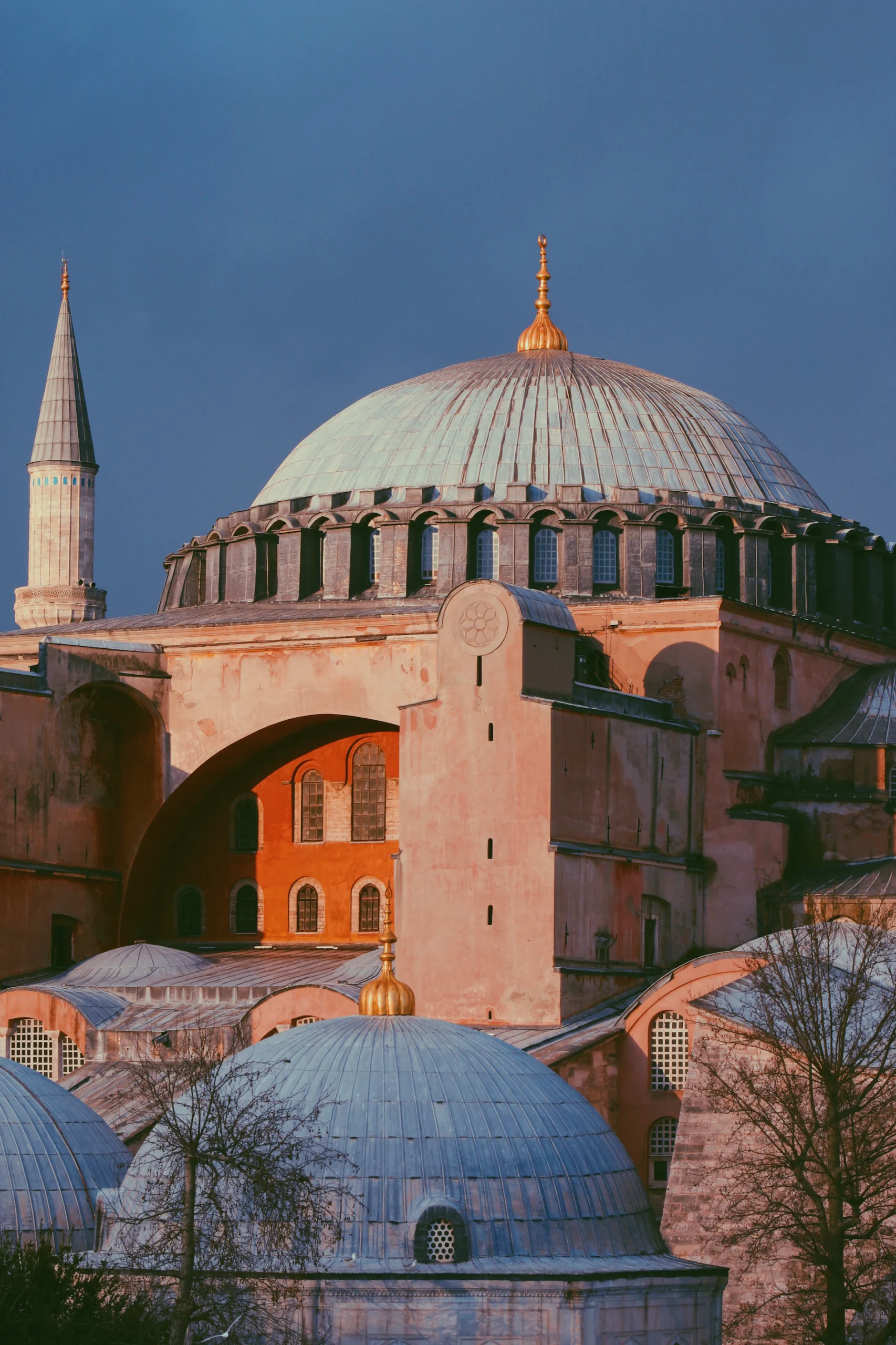 Aya Sofia